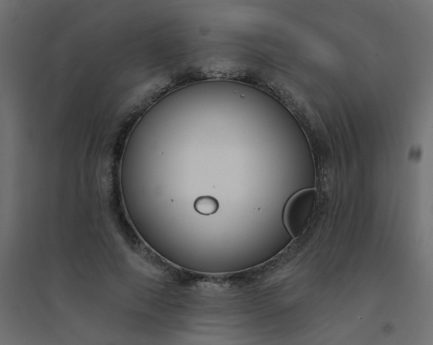 X0000094460690200711211541