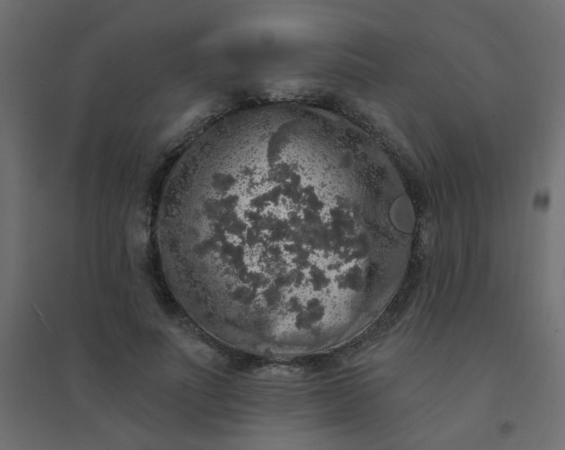 X0000094460691200711211541