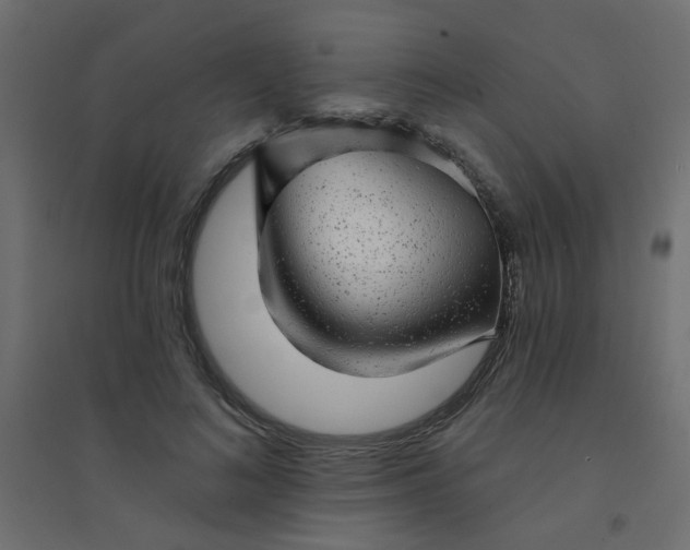 X0000094460692200711211541