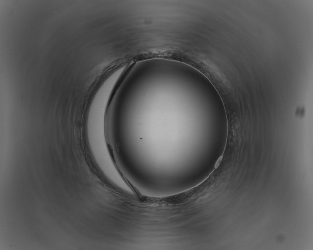 X0000094460693200711211541