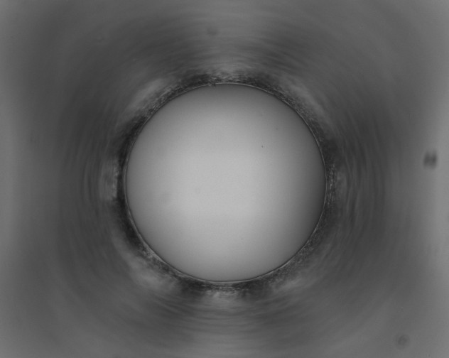 X0000094460694200711211541