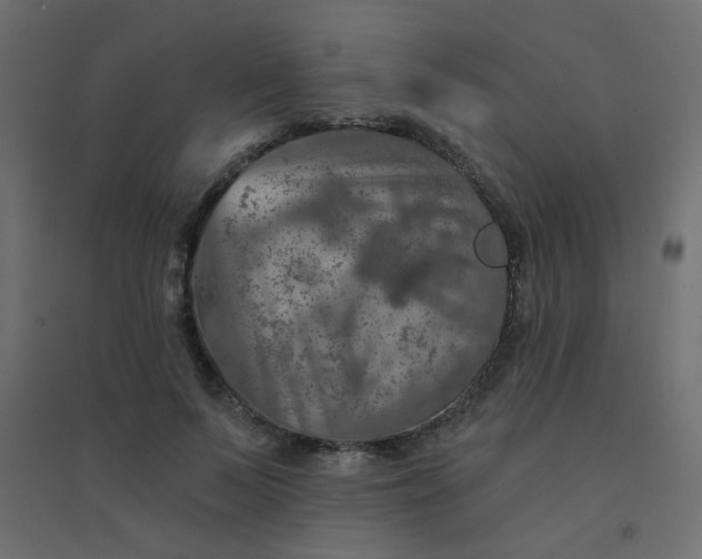 X0000094460695200711211541