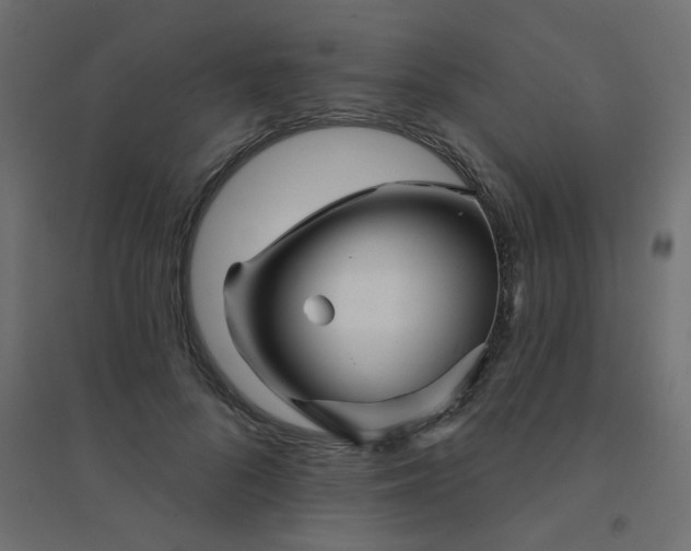 X0000094460696200711211541