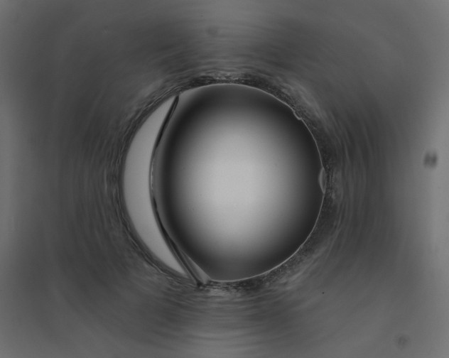 X0000094460697200711211541