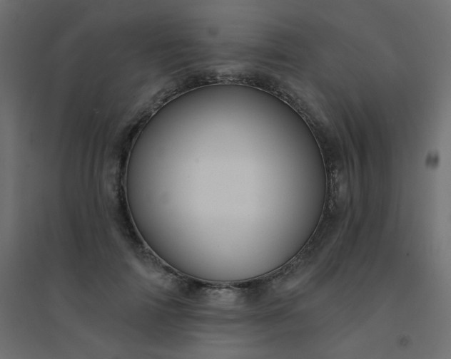 X0000094460698200711211541