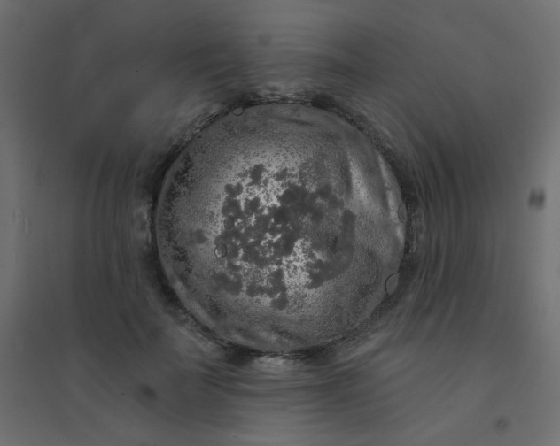 X0000094460699200711211541