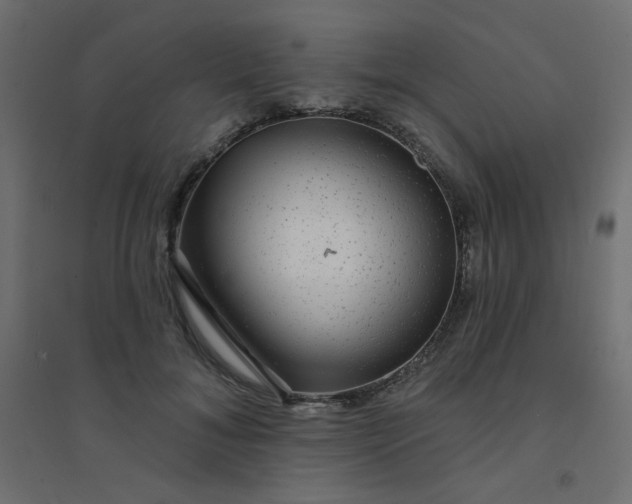 X0000094460700200711211541