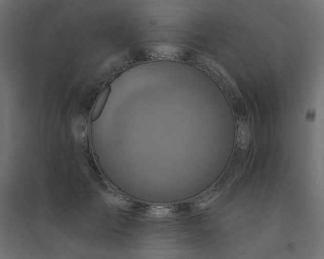 X0000094460701200711211541