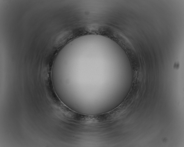 X0000094460702200711211541