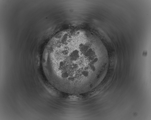 X0000094460703200711211541