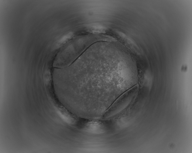 X0000094460704200711211541