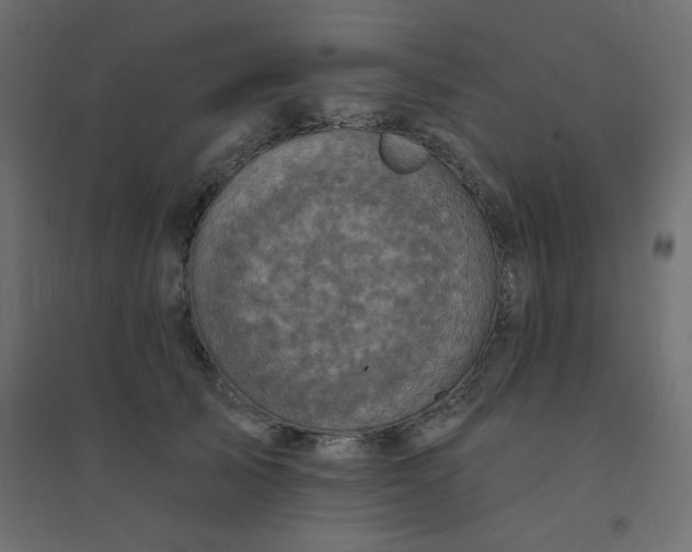 X0000094460705200711211541