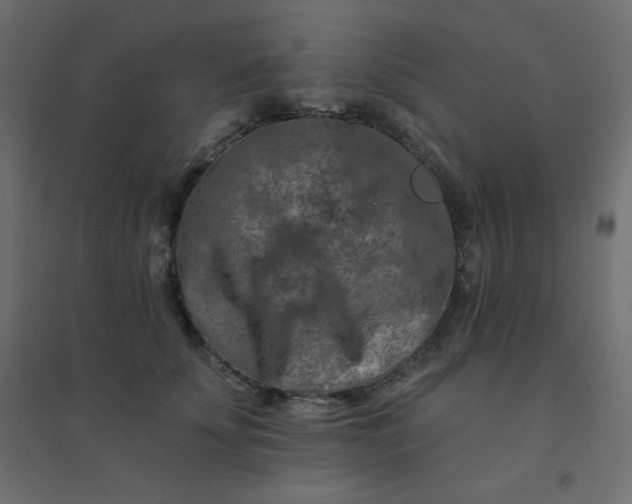 X0000094460707200711211541