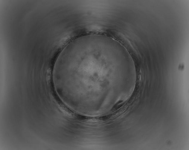 X0000094460708200711211541