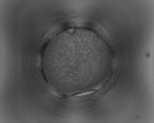 X0000094460709200711211541