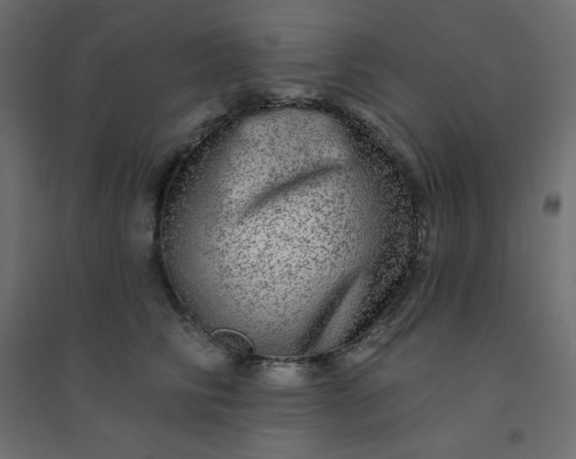 X0000094460710200711211541