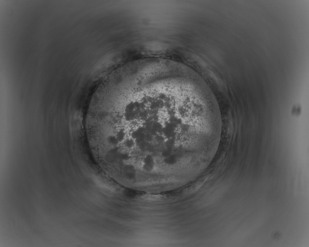 X0000094460711200711211541