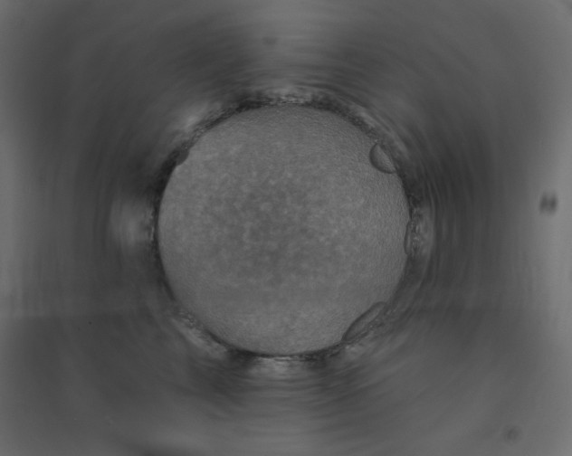 X0000094460713200711211541