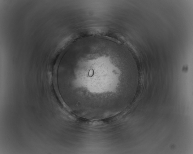 X0000094460716200711211540