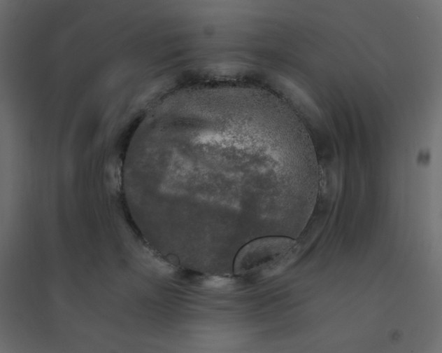 X0000094460718200711211540