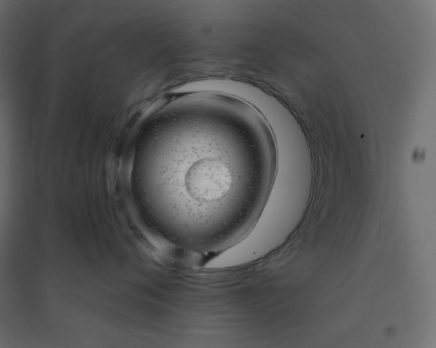 X0000094460720200711211540