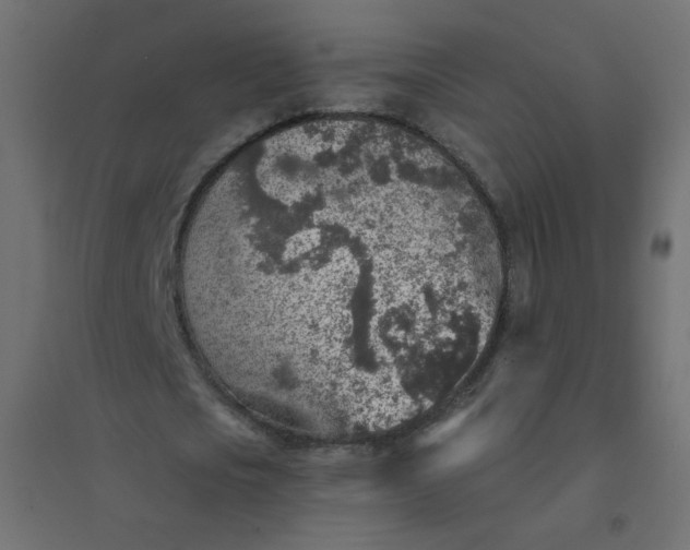 X0000094460721200711211540