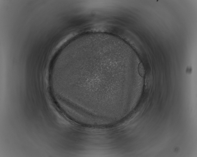 X0000094460722200711211540