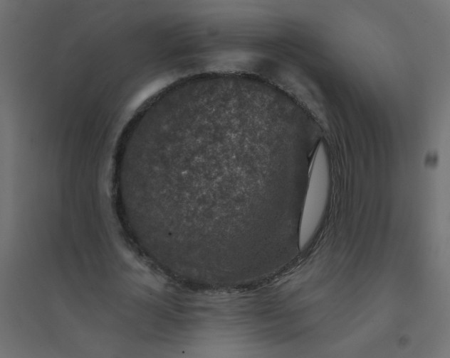 X0000094460724200711211540