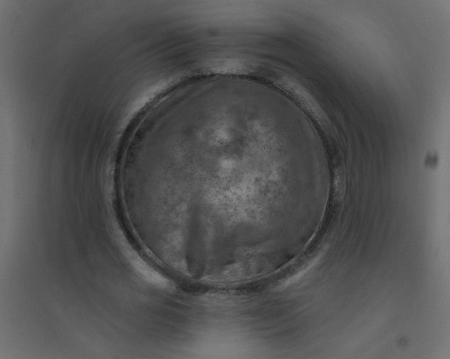 X0000094460725200711211540