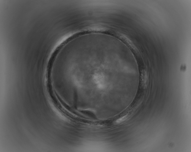 X0000094460726200711211540