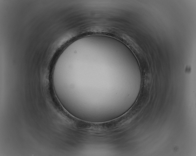 X0000094460727200711211540