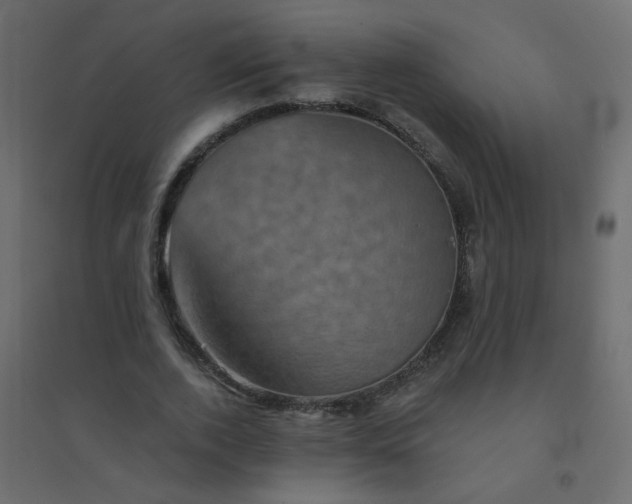 X0000094460728200711211540