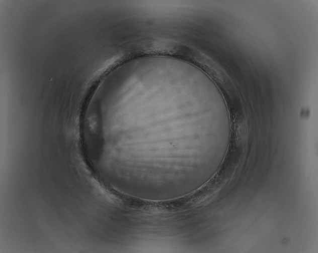 X0000094460729200711211540