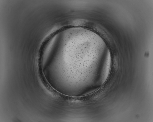 X0000094460730200711211540