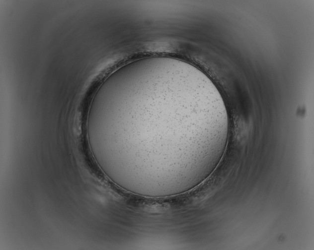 X0000094460731200711211540