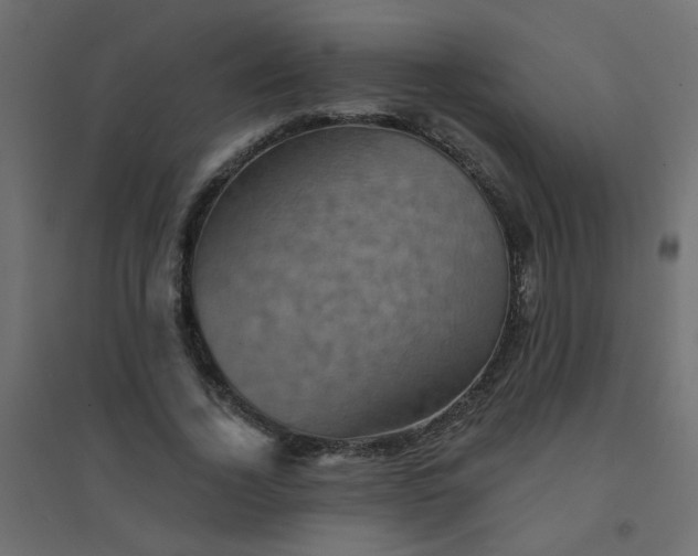 X0000094460732200711211540