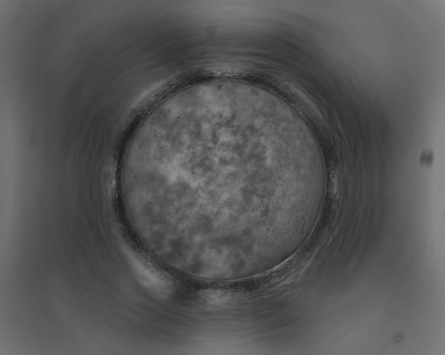 X0000094460733200711211540