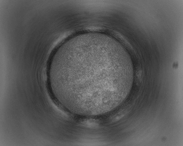 X0000094460734200711211540