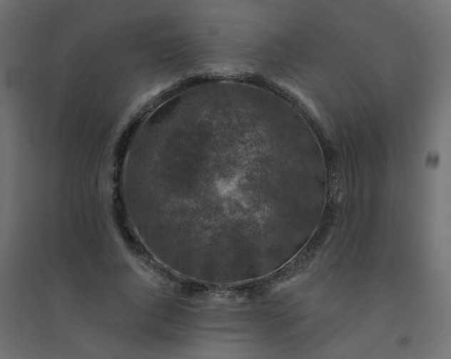 X0000094460736200711211540