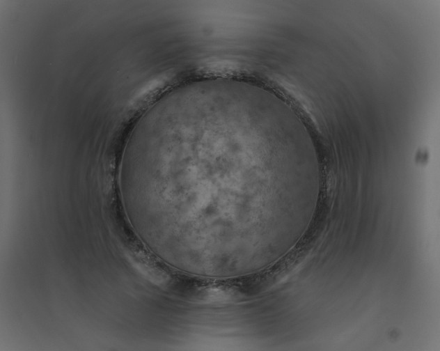 X0000094460737200711211540