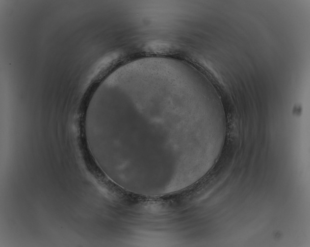 X0000094460738200711211540