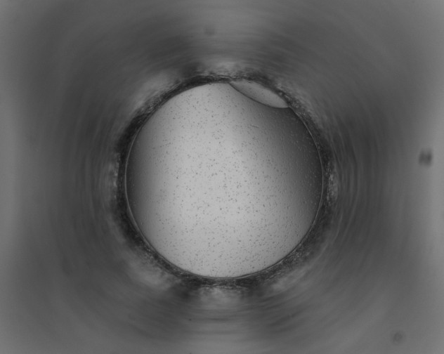 X0000094460739200711211540