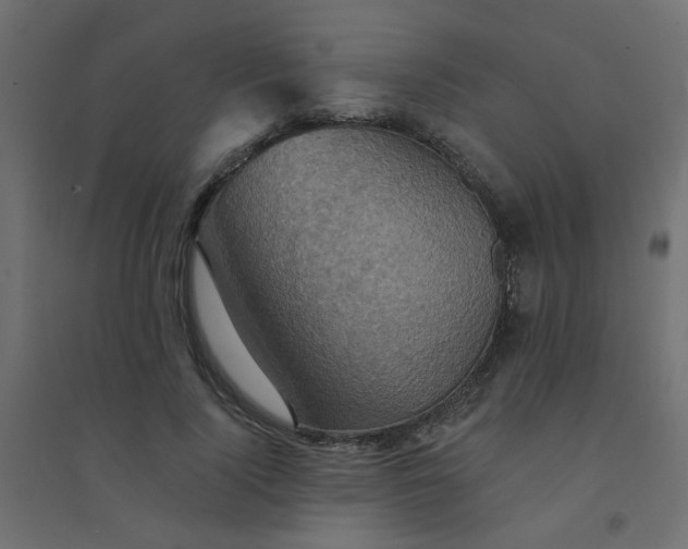 X0000094460740200711211540