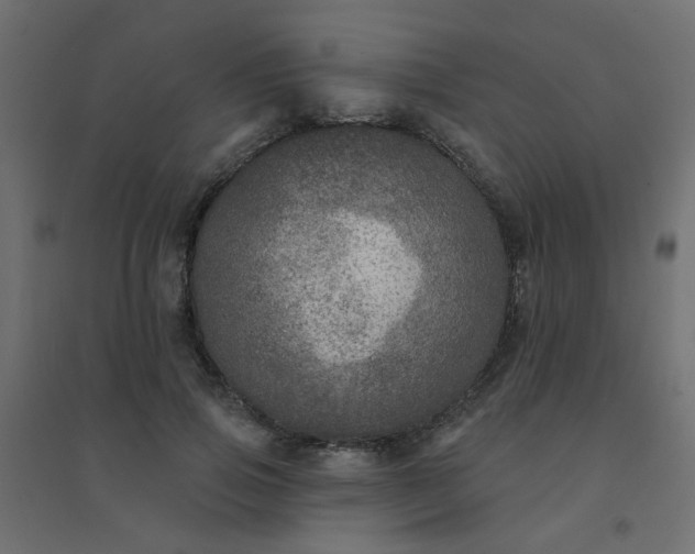 X0000094460741200711211540