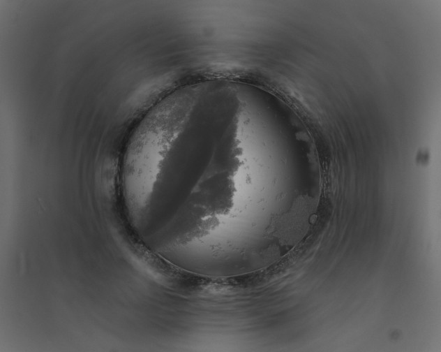 X0000094460742200711211540