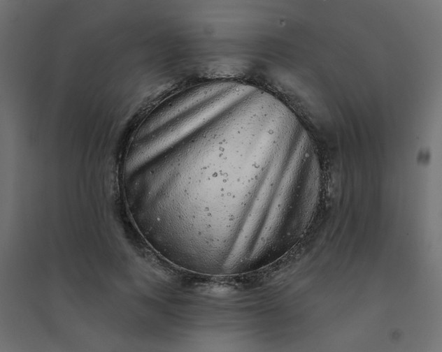 X0000094460743200711211540