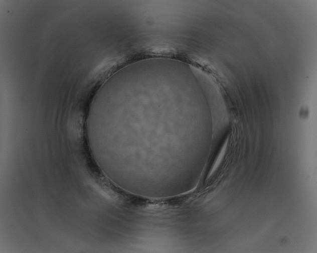 X0000094460744200711211540