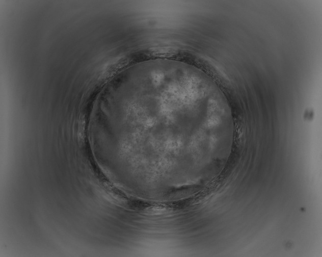 X0000094460745200711211540