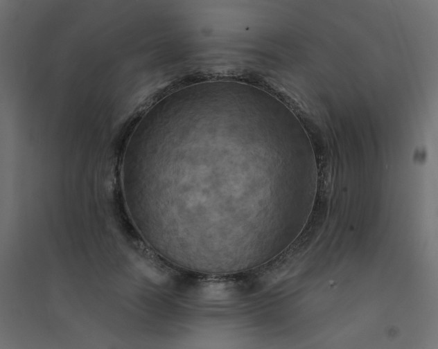 X0000094460746200711211540