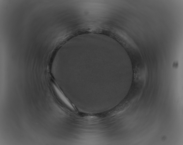 X0000094460748200711211540